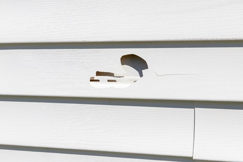 Expert Vinyl Siding Repair in Action